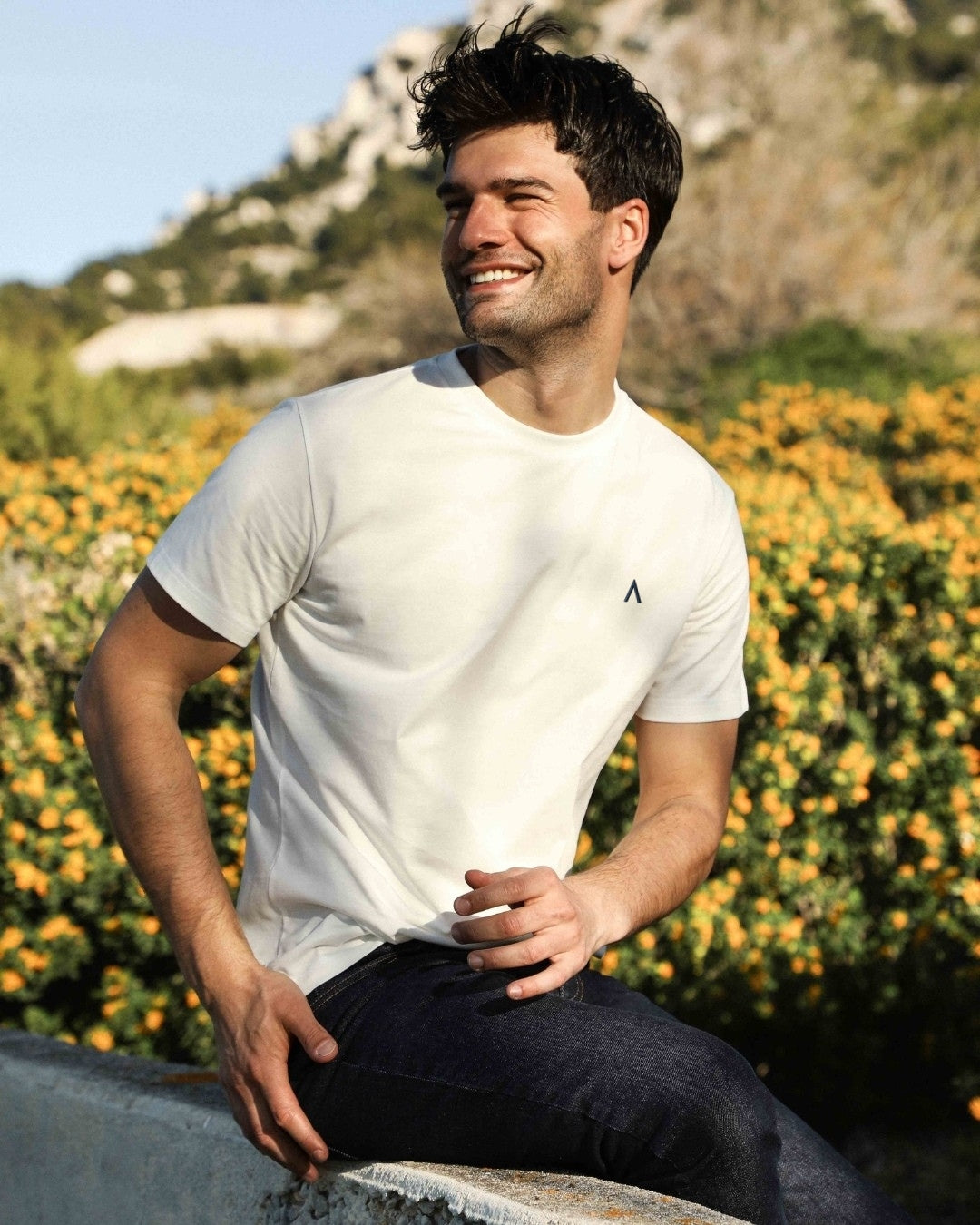 Agrandir