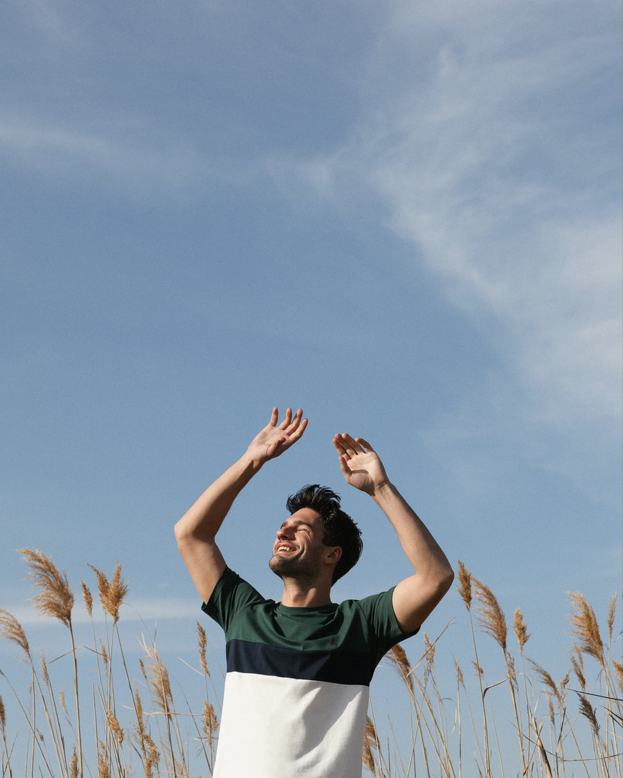 T-shirt Homme, Tricolore, Coton Biologique